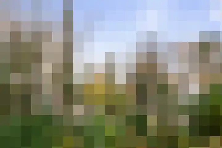 Nicolaas Beetslaan 17 Aerdenhout thumbnail 6