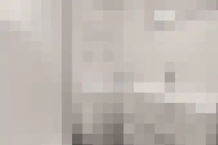 Nicolaas Beetslaan 170 Voorburg thumbnail 24
