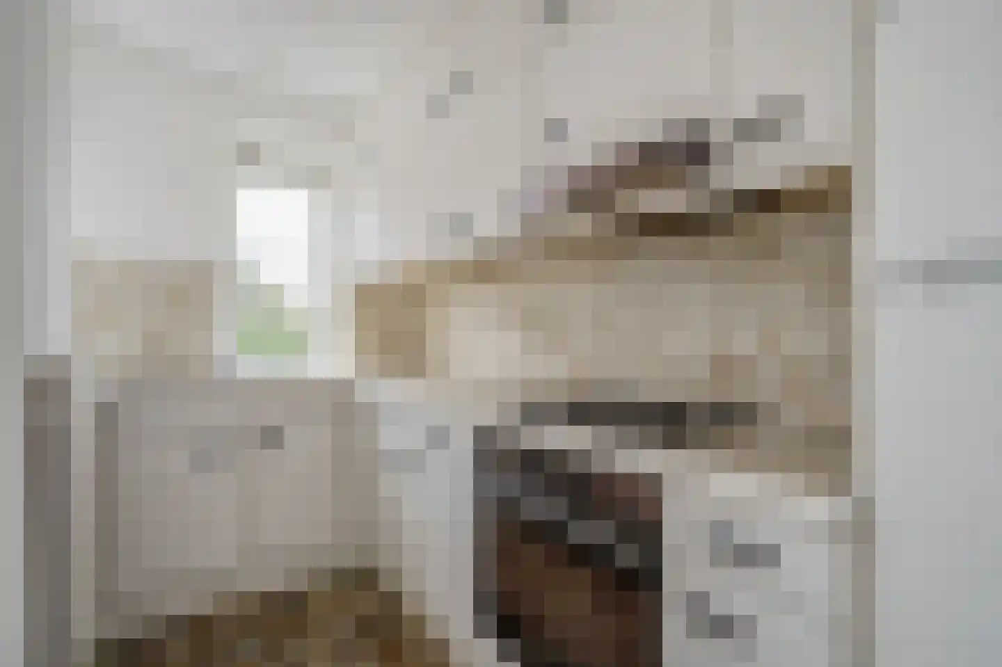Nicolaas Beetslaan 176 Voorburg thumbnail 17