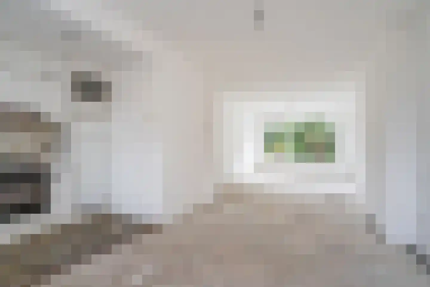 Nicolaas Beetslaan 176 Voorburg thumbnail 19