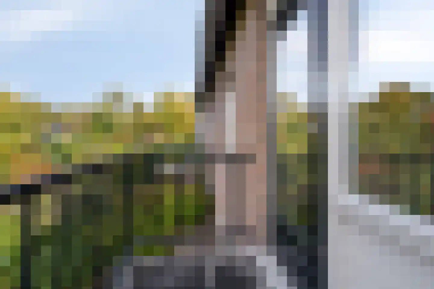 Nicolaas Beetslaan 19 Assen thumbnail 35
