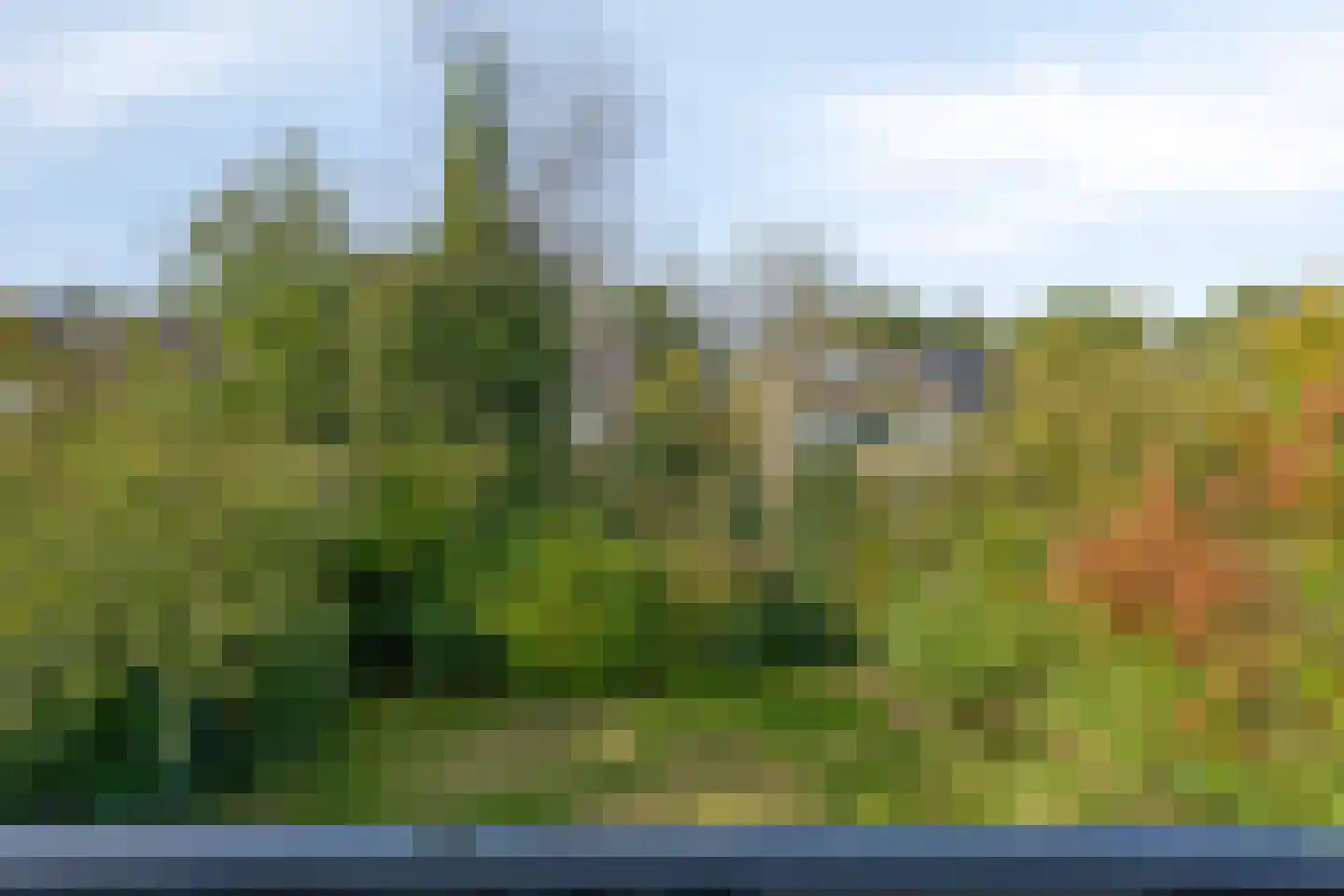 Nicolaas Beetslaan 19 Assen thumbnail 36