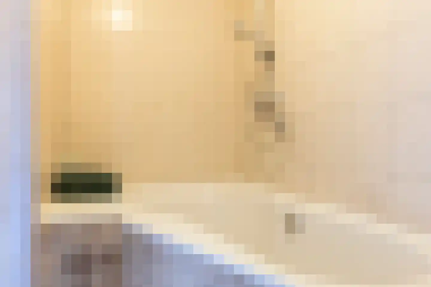 Nicolaas Beetslaan 210 Voorburg thumbnail 13