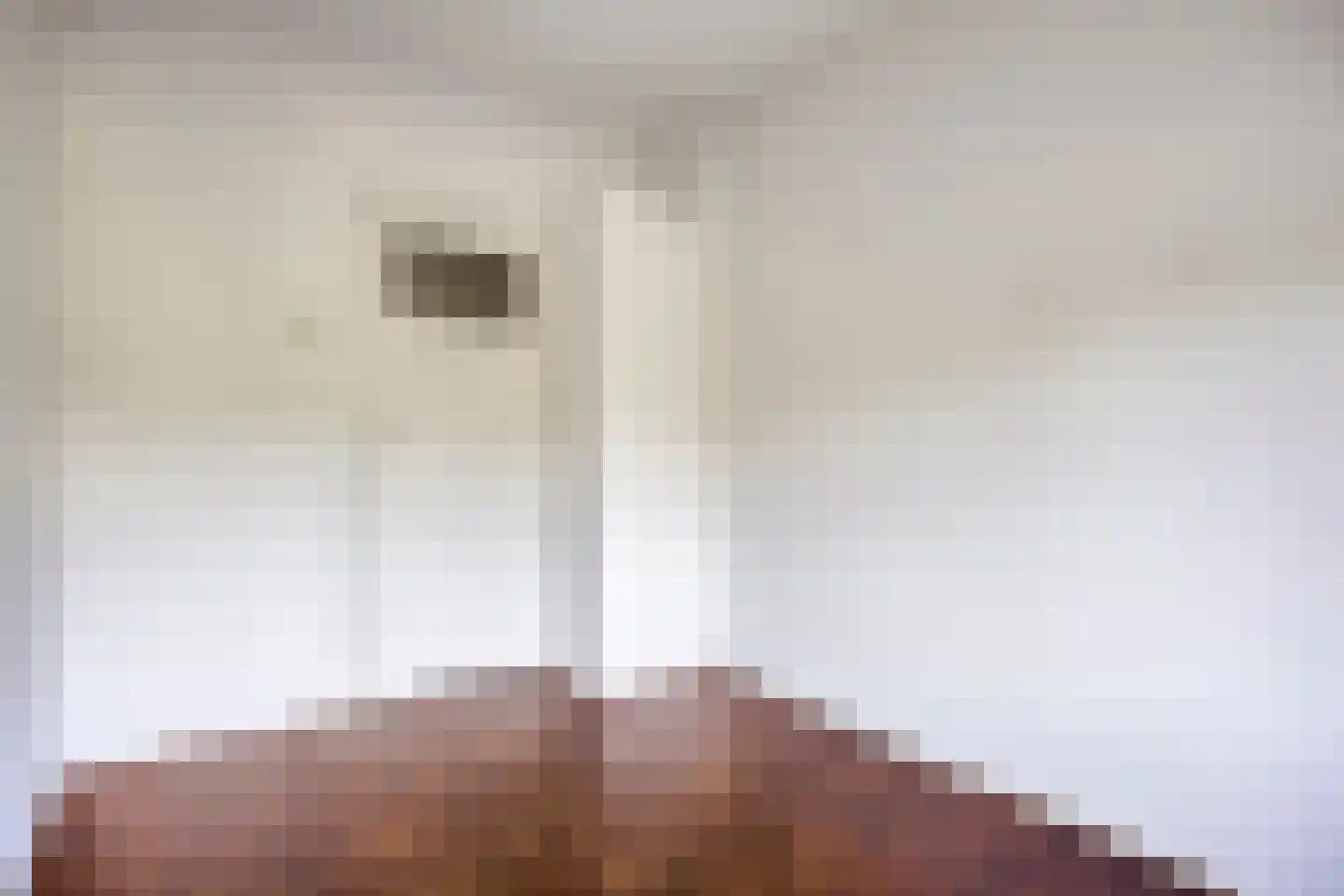 Nicolaas Beetslaan 210 Voorburg thumbnail 16