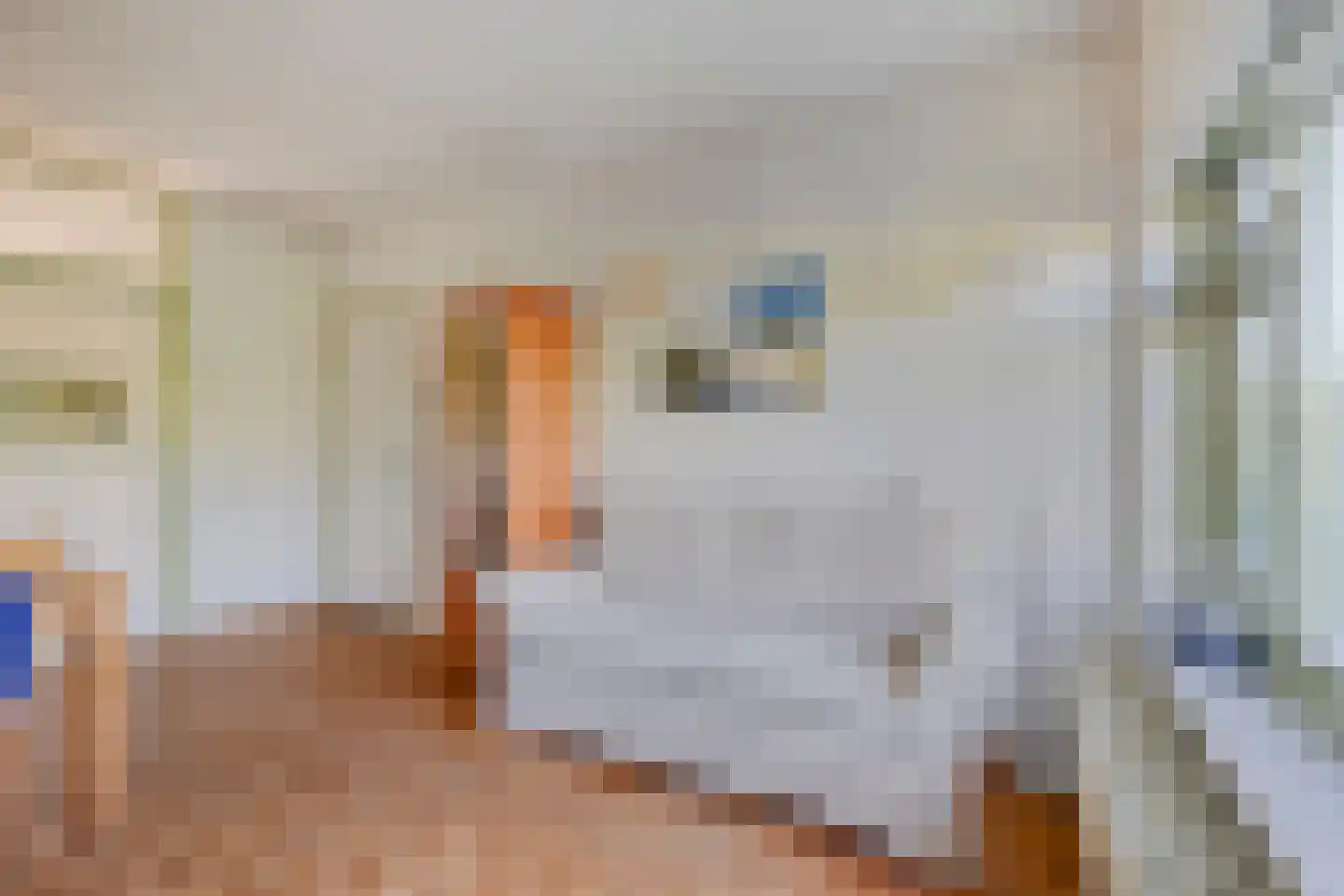 Nicolaas Beetslaan 210 Voorburg thumbnail 17