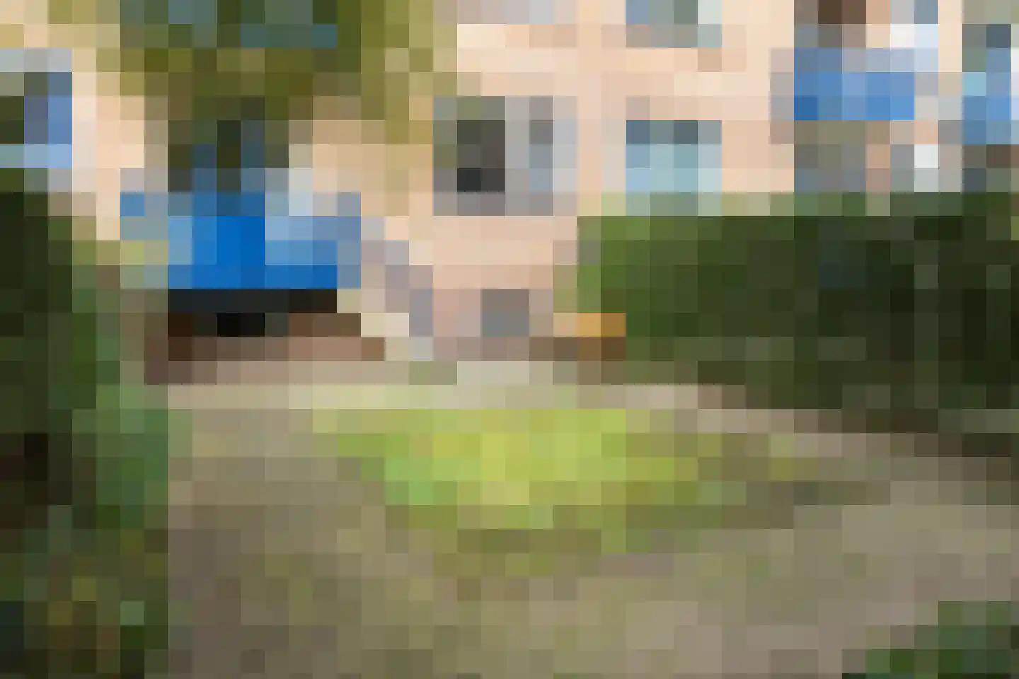 Nicolaas Beetslaan 210 Voorburg thumbnail 22