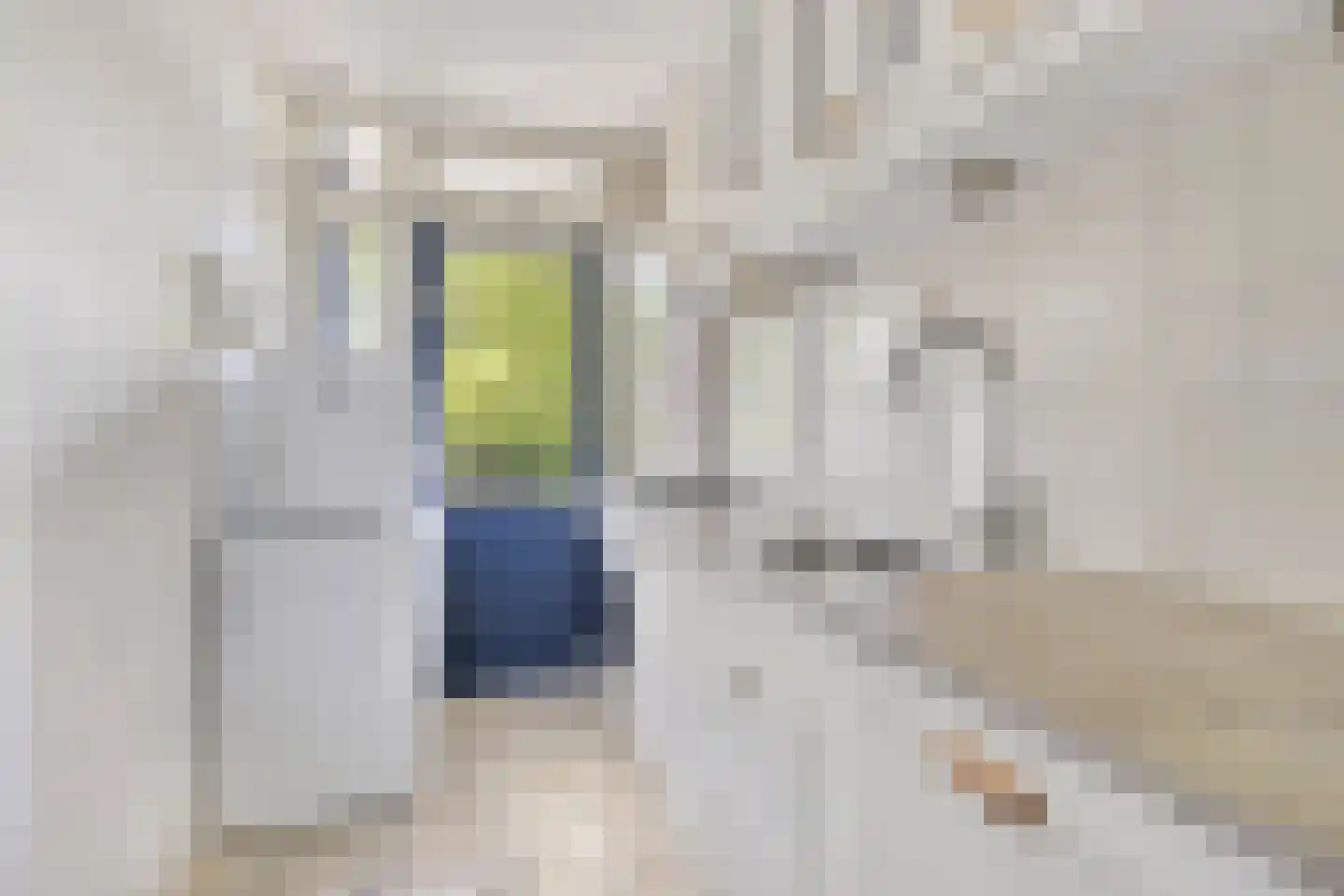 Nicolaas Beetslaan 210 Voorburg thumbnail 25