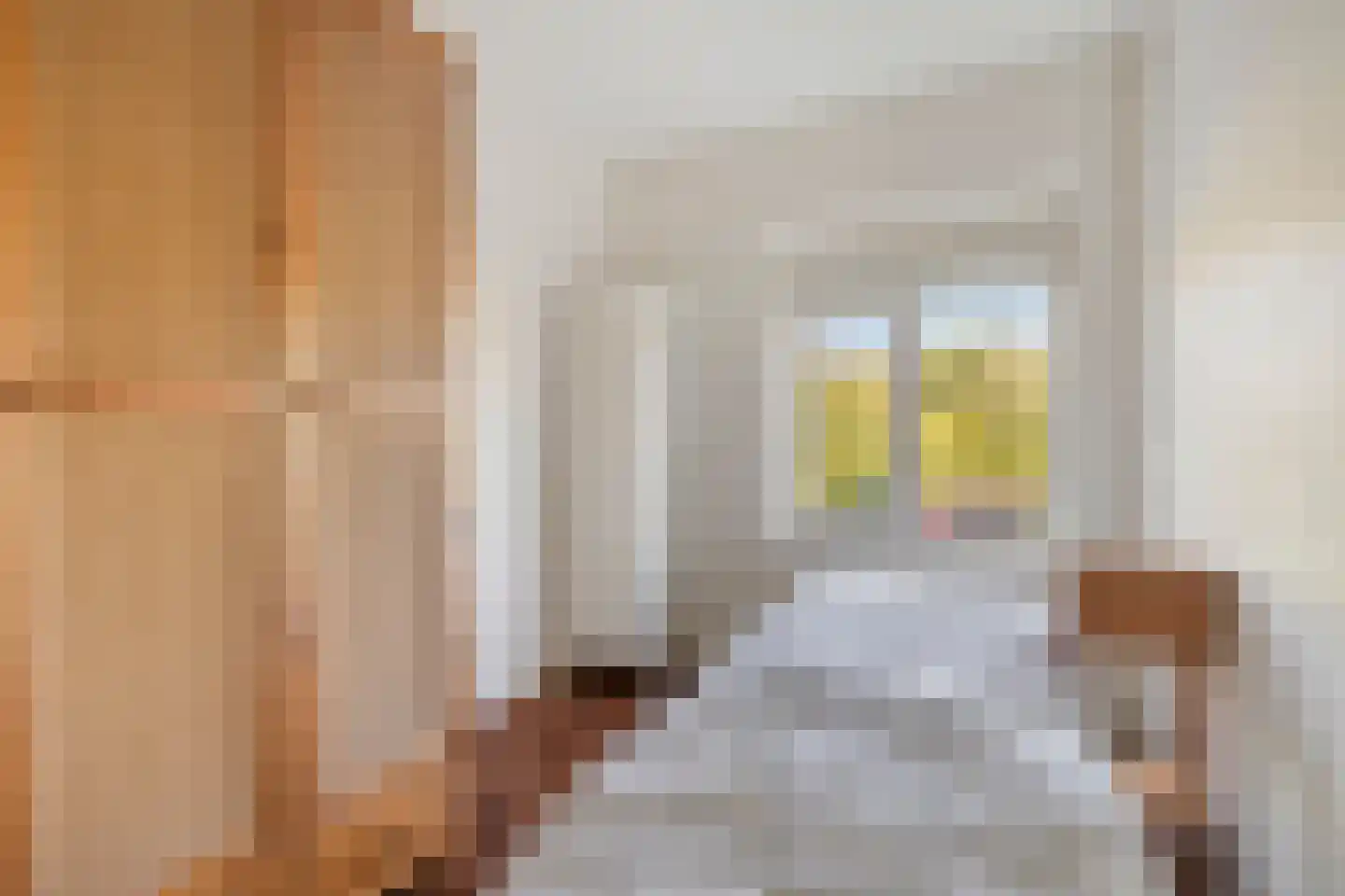 Nicolaas Beetslaan 210 Voorburg thumbnail 29
