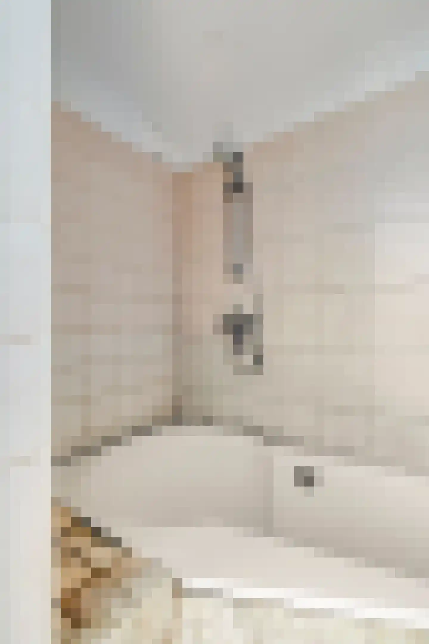 Nicolaas Beetslaan 210 Voorburg thumbnail 32
