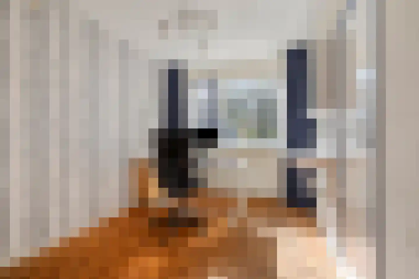 Nicolaas Beetslaan 210 Voorburg thumbnail 34