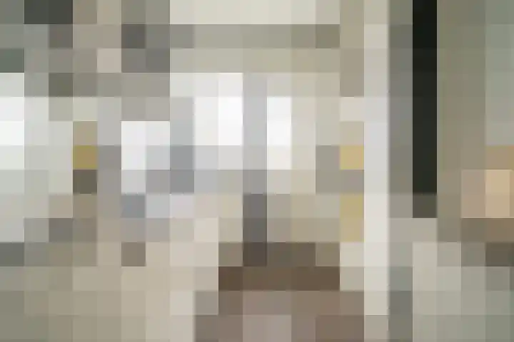 Nicolaas Beetslaan 248 Voorburg thumbnail 18