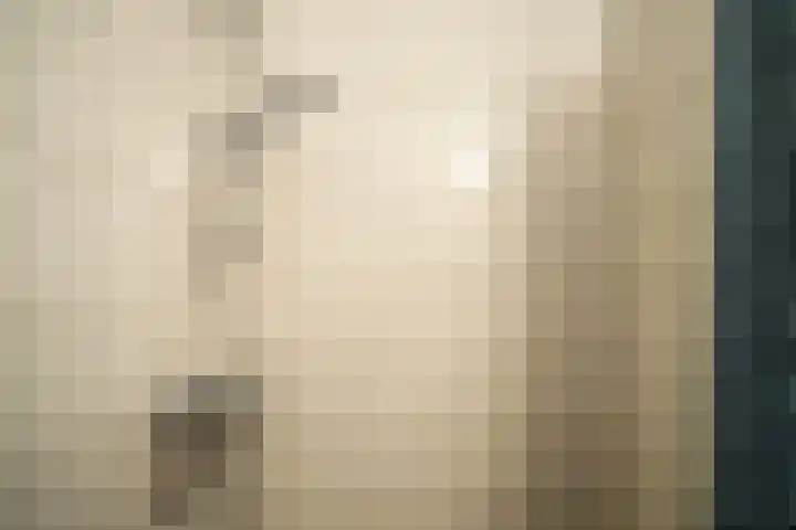 Nicolaas Beetslaan 248 Voorburg thumbnail 20