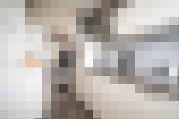 Nicolaas Beetslaan 248 Voorburg thumbnail 25