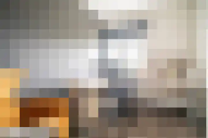 Nicolaas Beetslaan 248 Voorburg thumbnail 29