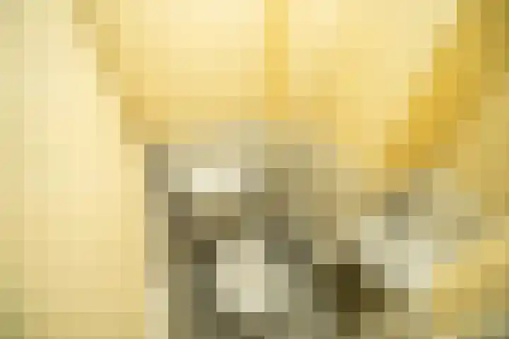 Nicolaas Beetslaan 248 Voorburg thumbnail 31