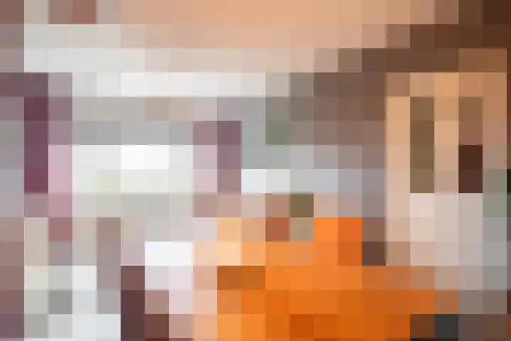 Nicolaas Beetslaan 248 Voorburg thumbnail 7