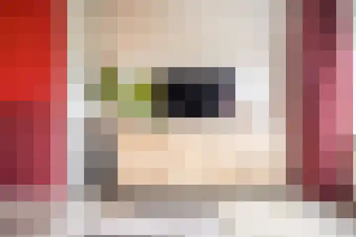 Nicolaas Beetslaan 248 Voorburg thumbnail 8