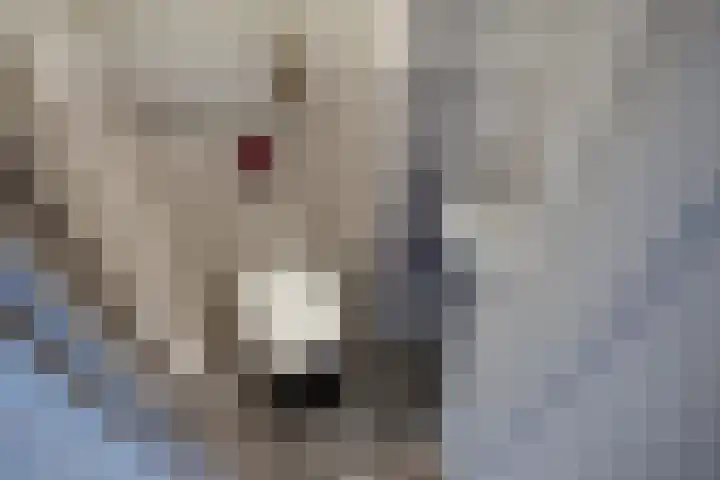 Nicolaas Beetslaan 284 Voorburg thumbnail 16
