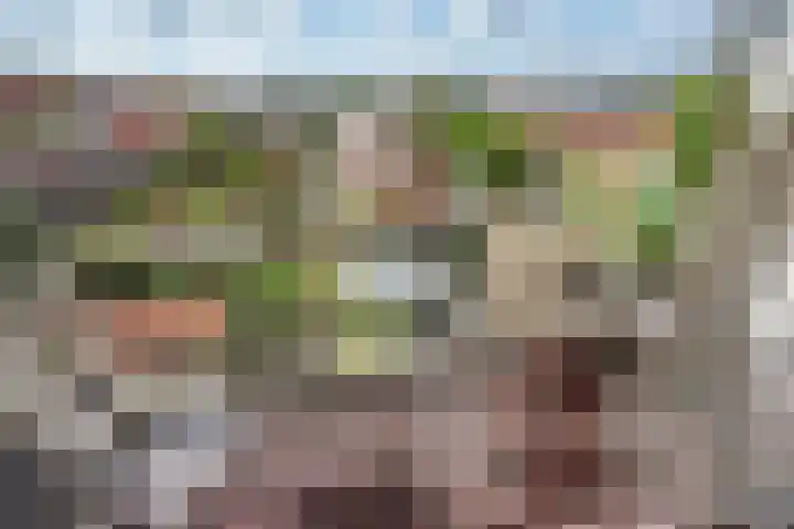 Nicolaas Beetslaan 284 Voorburg thumbnail 20