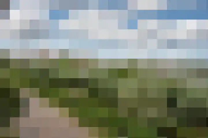 Nicolaas Beetslaan 284 Voorburg thumbnail 21