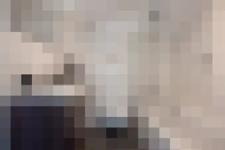 Nicolaas Beetslaan 284 Voorburg thumbnail 26