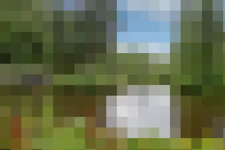 Nicolaas Beetslaan 284 Voorburg thumbnail 29