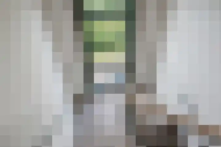 Nicolaas Beetslaan 284 Voorburg thumbnail 7