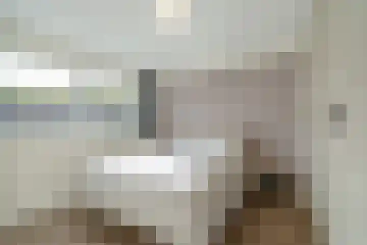 Nicolaas Beetslaan 30 Voorburg thumbnail 33