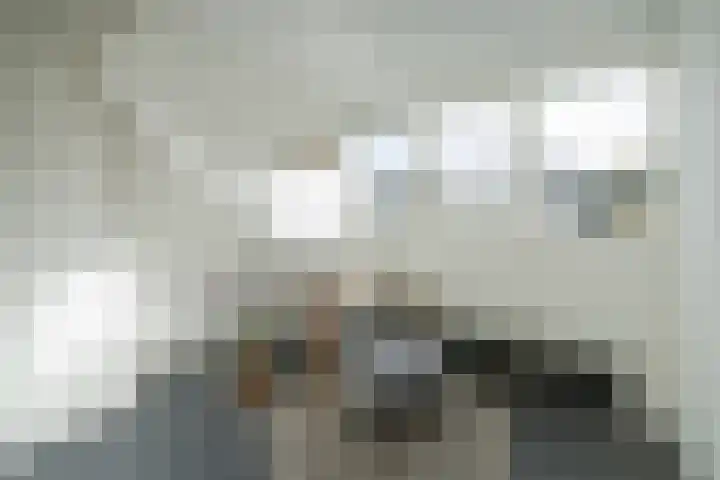 Nicolaas Beetslaan 30 Voorburg thumbnail 34