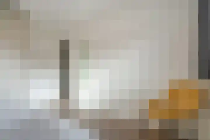 Nicolaas Beetslaan 30 Voorburg thumbnail 37