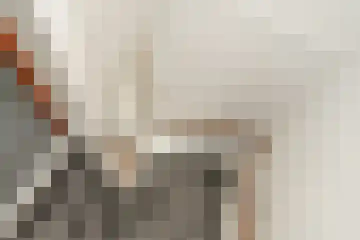 Nicolaas Beetslaan 30 Voorburg thumbnail 38