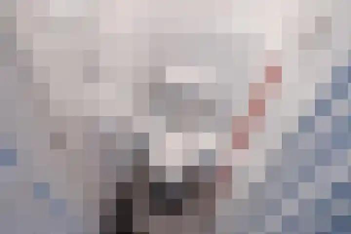 Nicolaas Beetslaan 30 Voorburg thumbnail 7