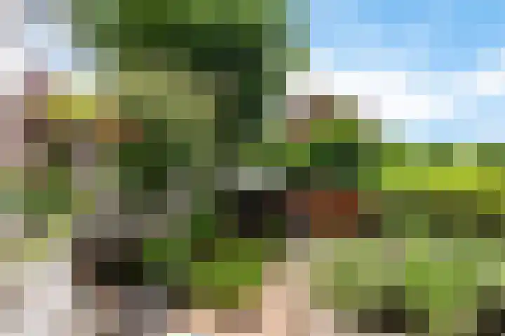 Nicolaas Beetslaan 322 Voorburg thumbnail 10