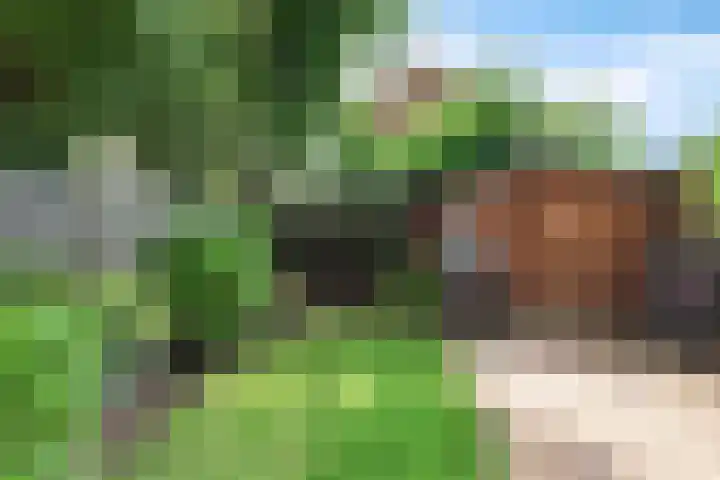 Nicolaas Beetslaan 322 Voorburg thumbnail 11