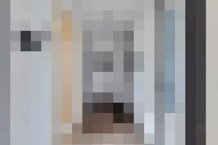 Nicolaas Beetslaan 322 Voorburg thumbnail 13