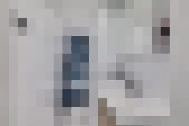 Nicolaas Beetslaan 322 Voorburg thumbnail 14