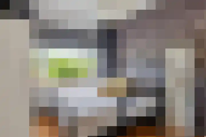 Nicolaas Beetslaan 322 Voorburg thumbnail 16