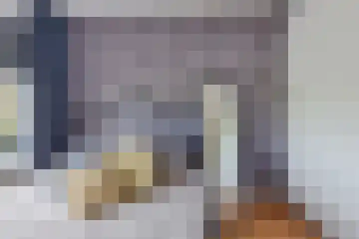 Nicolaas Beetslaan 322 Voorburg thumbnail 17