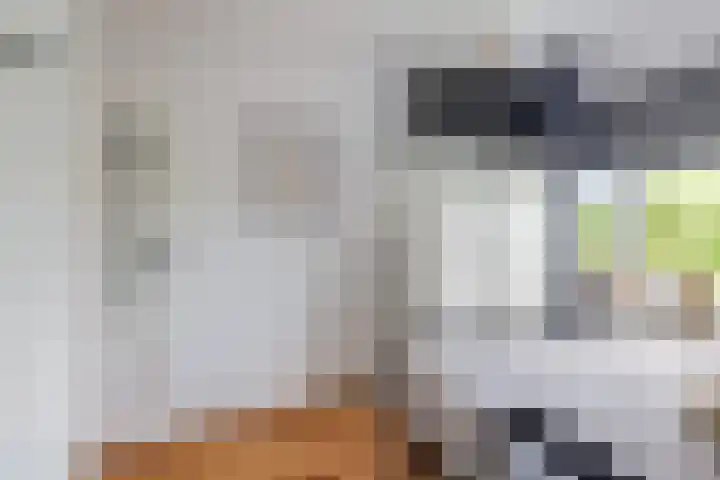 Nicolaas Beetslaan 322 Voorburg thumbnail 18