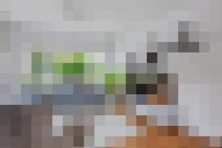 Nicolaas Beetslaan 322 Voorburg thumbnail 4