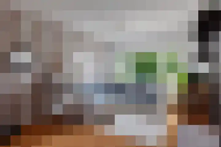 Nicolaas Beetslaan 322 Voorburg thumbnail 5