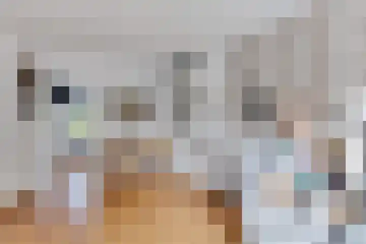 Nicolaas Beetslaan 322 Voorburg thumbnail 6