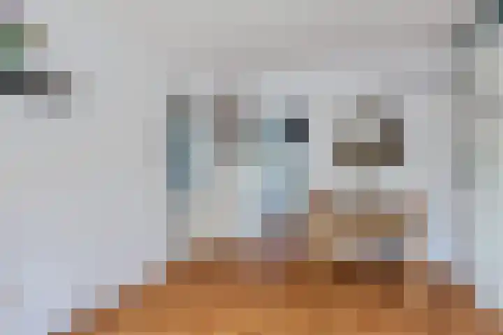 Nicolaas Beetslaan 322 Voorburg thumbnail 7