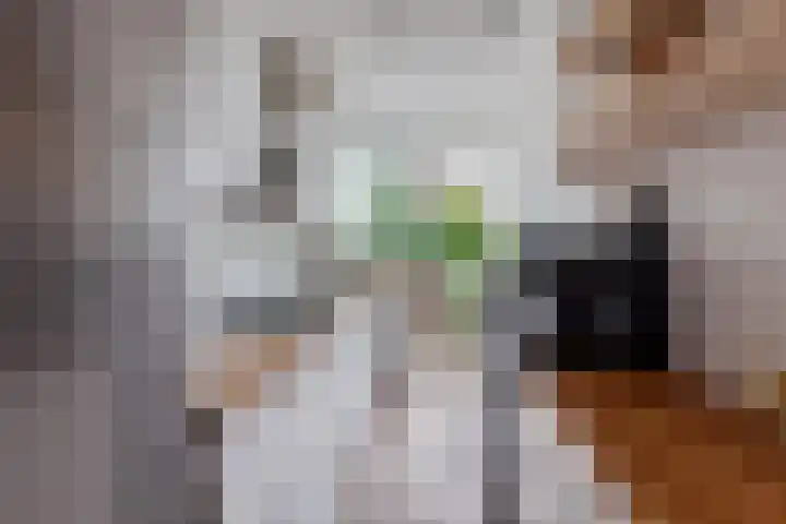 Nicolaas Beetslaan 322 Voorburg thumbnail 9
