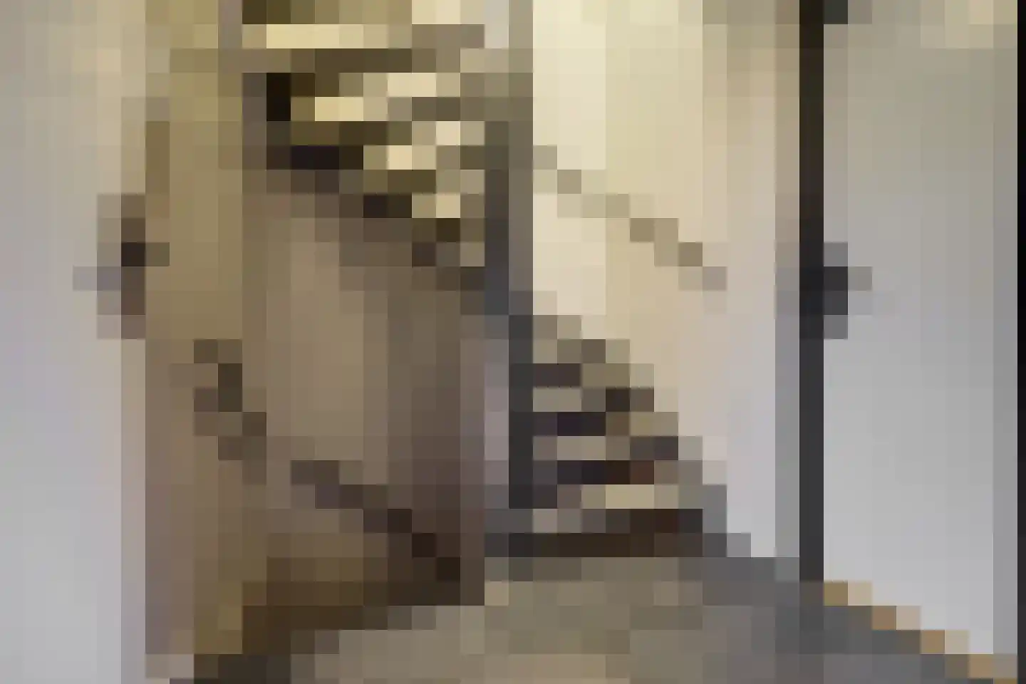 Nicolaas Beetslaan 37 Bladel thumbnail 12