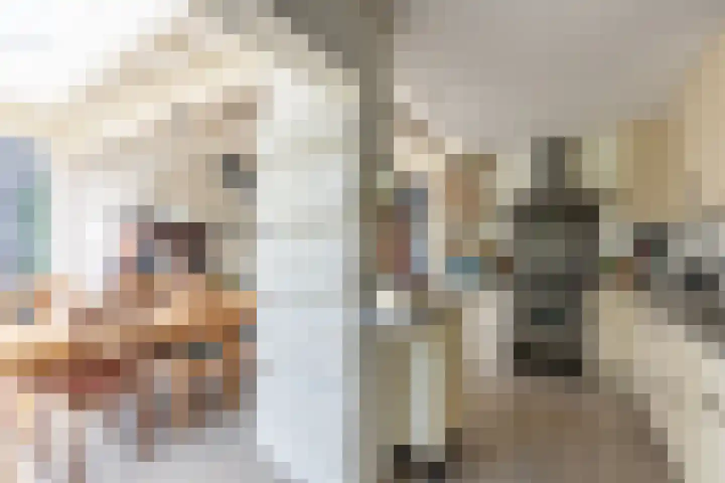 Nicolaas Beetslaan 4 Zeist thumbnail 18