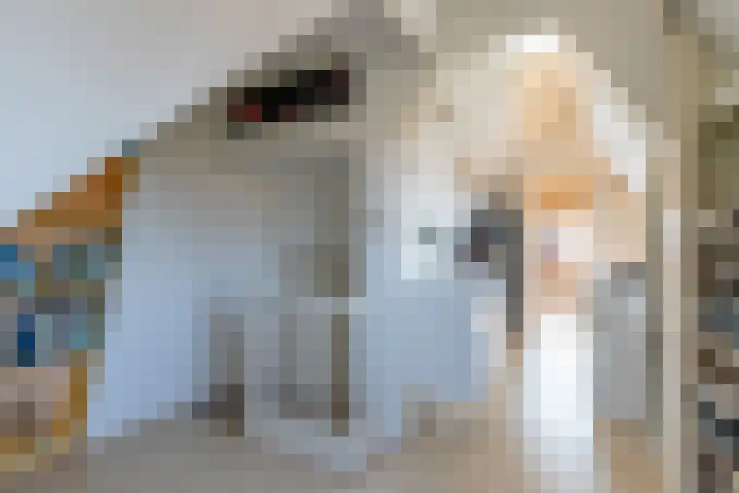 Nicolaas Beetslaan 4 Zeist thumbnail 33