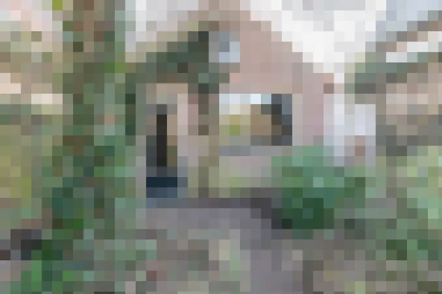 Nicolaas Beetslaan 4 Zeist thumbnail 38