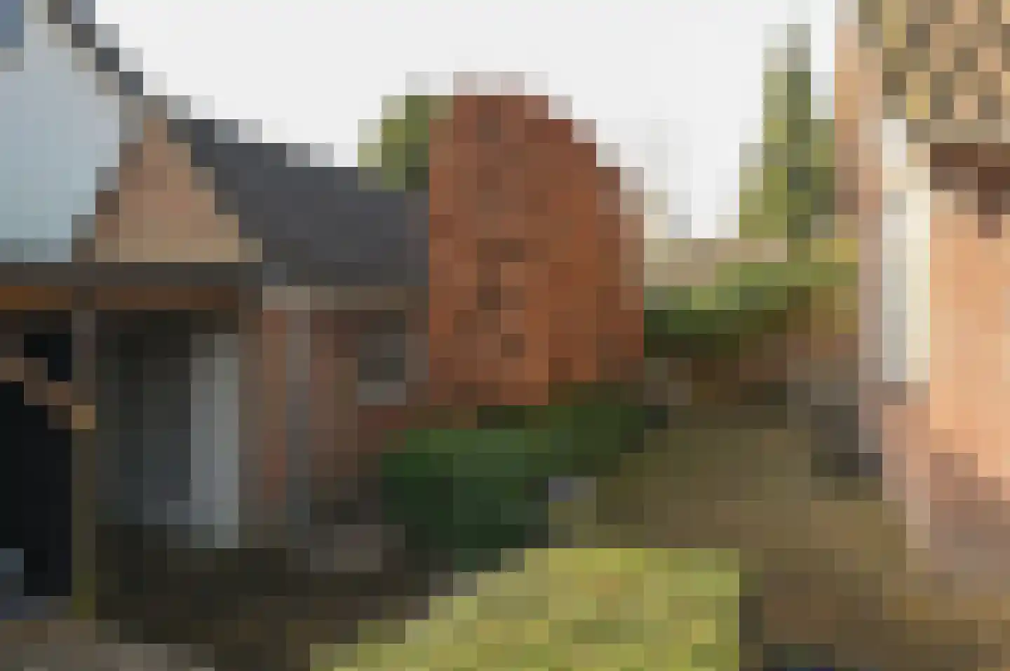 Nicolaas Beetslaan 41 Baarn thumbnail 22