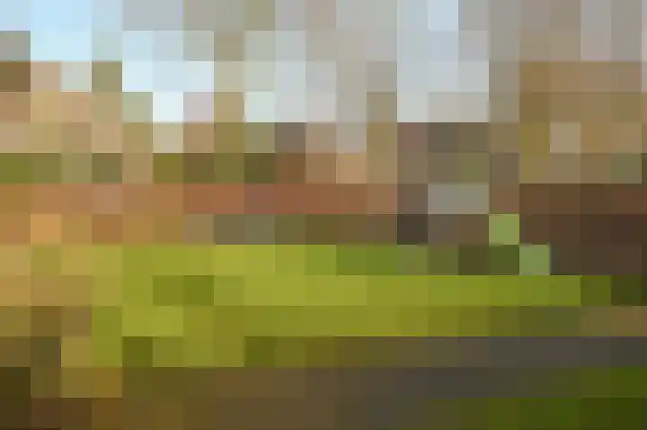 Nicolaas Beetslaan 41 Baarn thumbnail 36